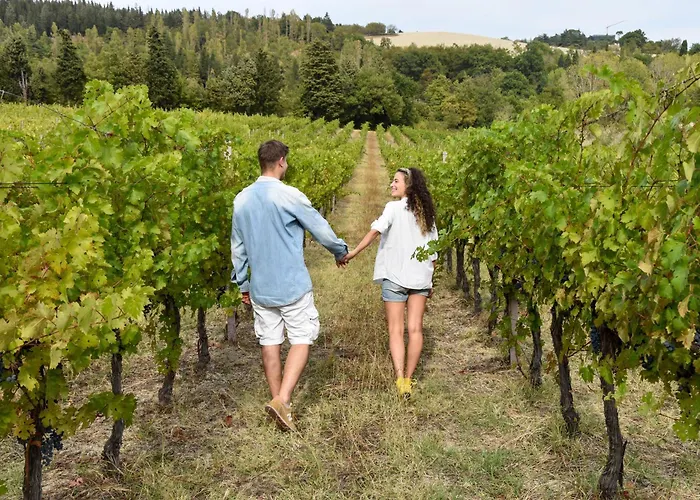 Hétvégi ház Casa Fluo Relais *