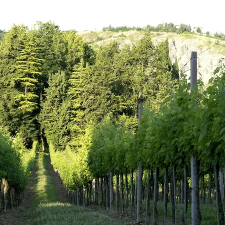 בית כפרי Casa Fluo Relais