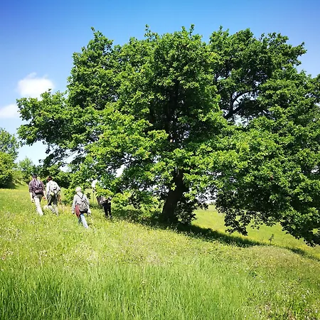Venkovský dům Casa Fluo Relais *