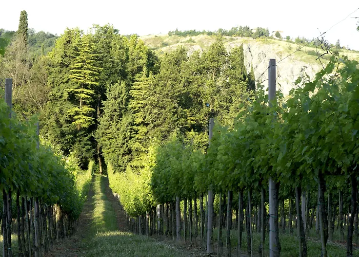 Летний дом Casa Fluo Relais