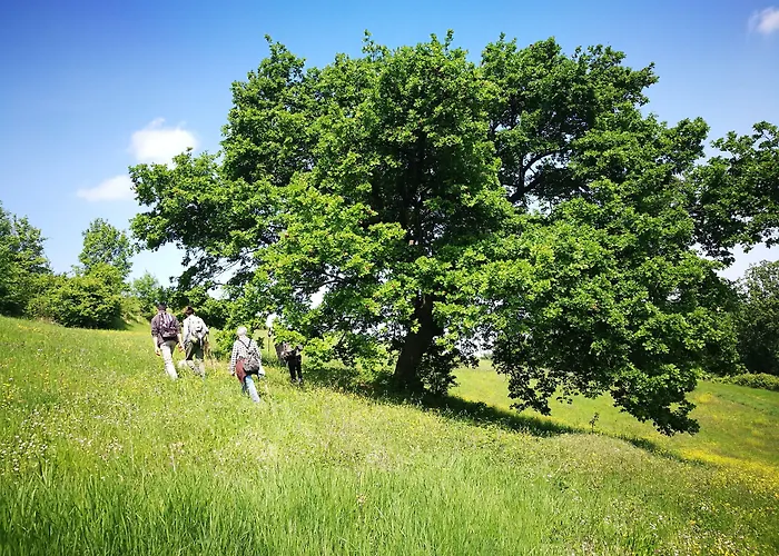 Casa di campagna Casa Fluò Relais *